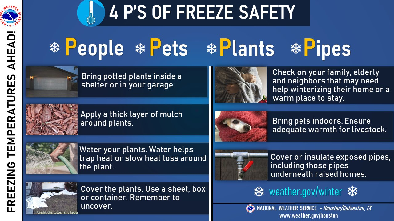 FourPsOfFreezeSafety