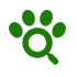 Lost & Found Pets/Animal Services